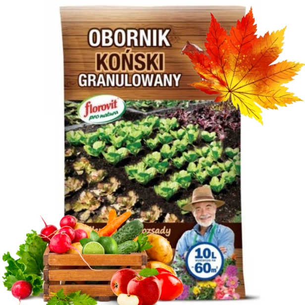 Untitled design (82).png