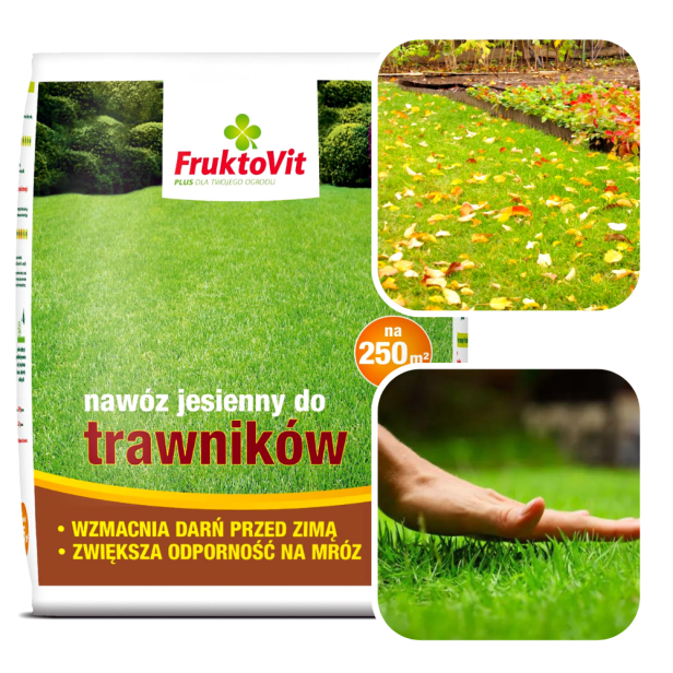 Untitled design (92).png