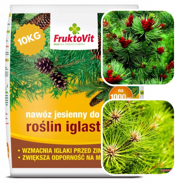 10KG (7).png