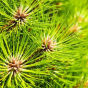 Untitled design (97).png