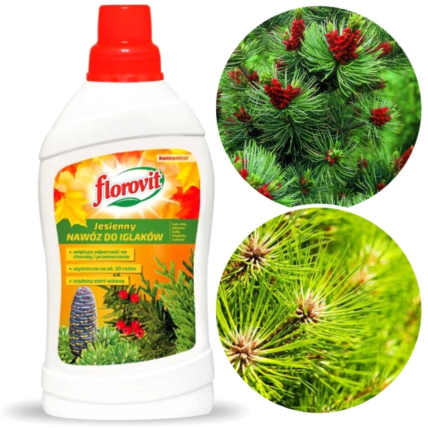 Untitled design (94).png