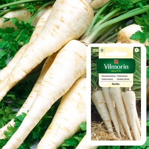 a76ea0e54177b90c881a7a202f3f