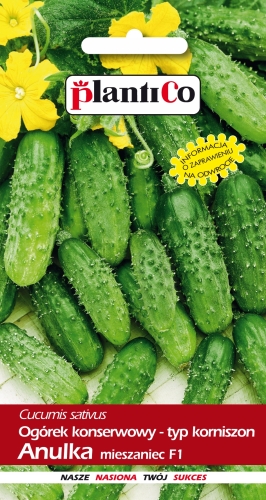 3c243542476280e2022e99ab1252