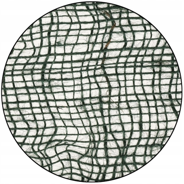 0d07ae3c4514bfb69d2e8c7c4855