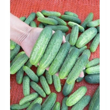 cb29c1754b6192ee4c279cc4fd4f