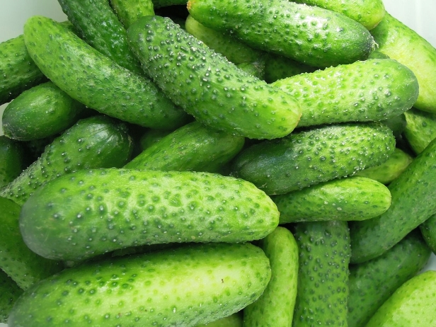 fcc4672d473fbb2a94d23d7043a6