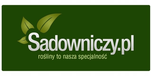 6b58e2294f1c922c3e1dc4bedada