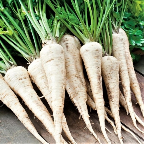 6b539a0d44b49d6f4d66f132adaa