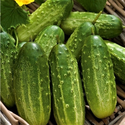 ada78d544d11bbda629fe70ab023