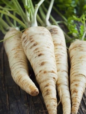 f0f9c6f5411088a2af5996d75710