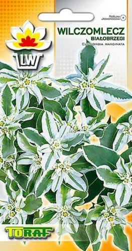 876e72794527bca274edbe474189