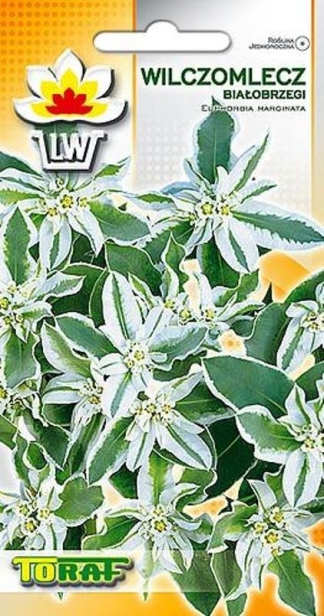 876e72794527bca274edbe474189