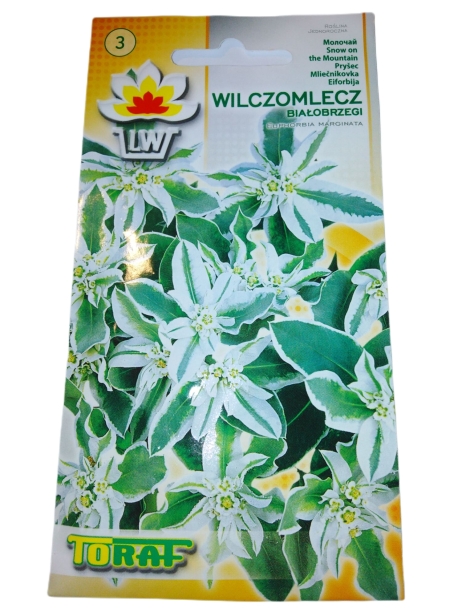 952fb9034e06a0304425a3c15839