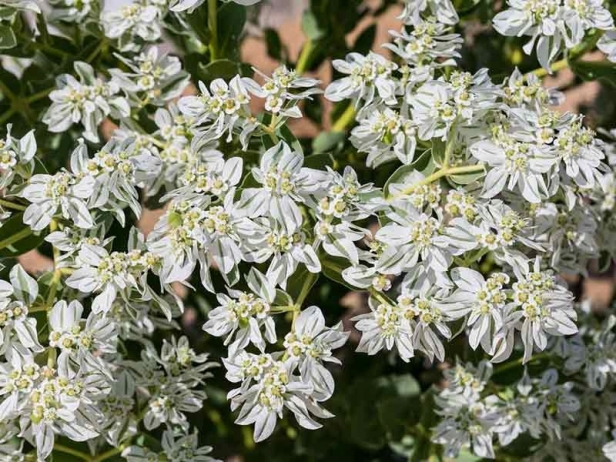 cc2fb8624bacb82d0938c2403b70