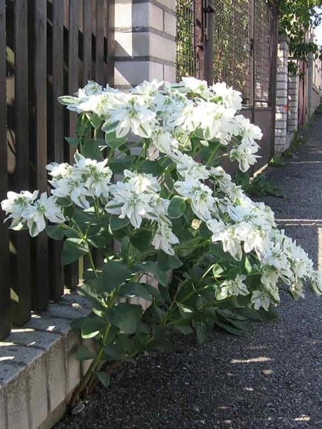 085d9bc948e1b3fc4111946f204d