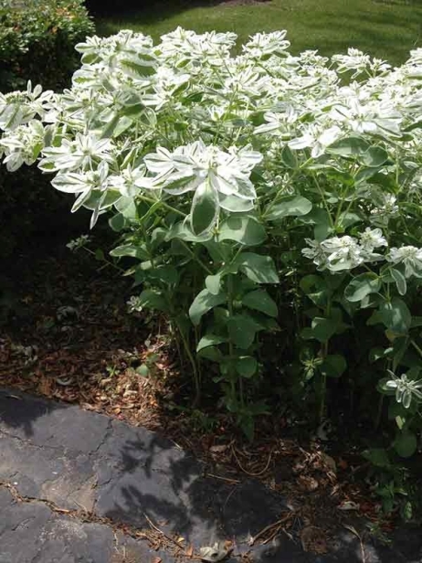 0e5e48274f15be136458db15fb1d