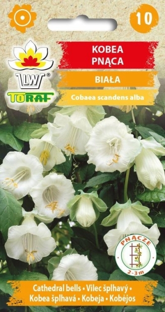 9fe27c1141d2b1178065ca00697a