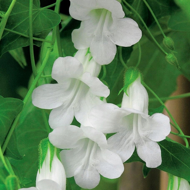 72f8edd14c659cae63dcbaa97679