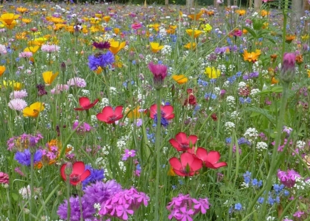 e84a76e94e5cb30c2ca7014fdb95