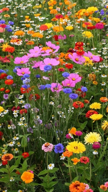 c2ccdd5f46d482dba337ac952916