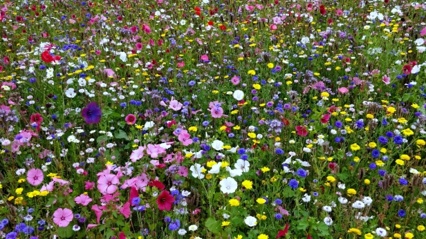 7fa93c4f4bd1ba410af381c43698