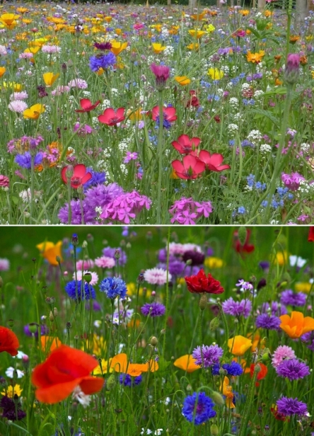 917a1df94b5d8dce594d457d75b2