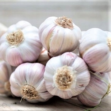 fc872ff3442d873e03c24131c78f