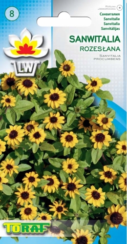 c89c153b4599a6769a1e7b4d3953