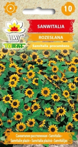 8e381683414dac94a3aef83fbabd