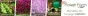 9c5f1bbc4ea5baa870d843f3b17a
