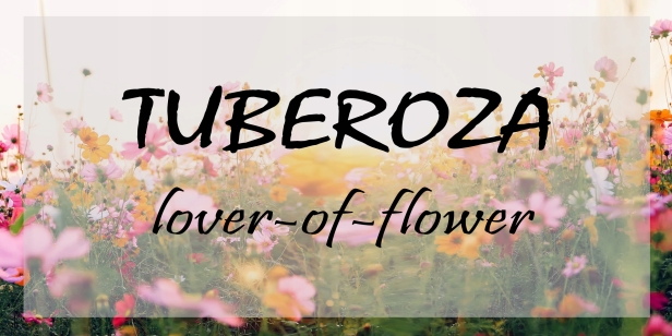 57fdd6d94dfabc7b87e172ef6e65