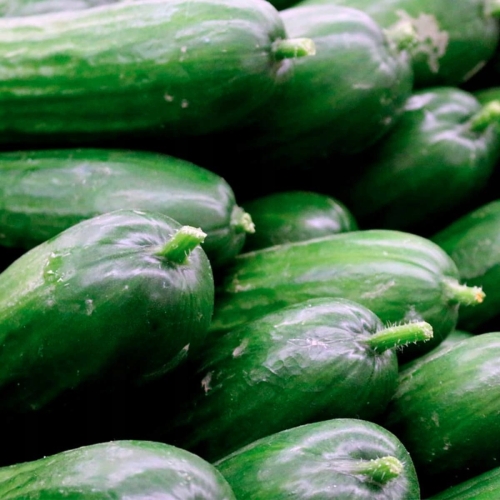 89665aaa4cba85e29e791caa12a5