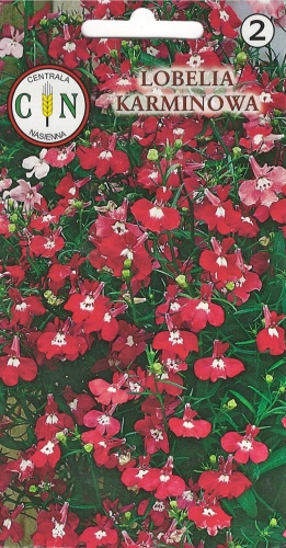 864e57ab46dca8cf8d4e765f703d