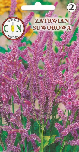 81981e7a4ebcb1bb662d80eb5886