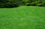 f0572c264cf0a3deb8c980ad2ade