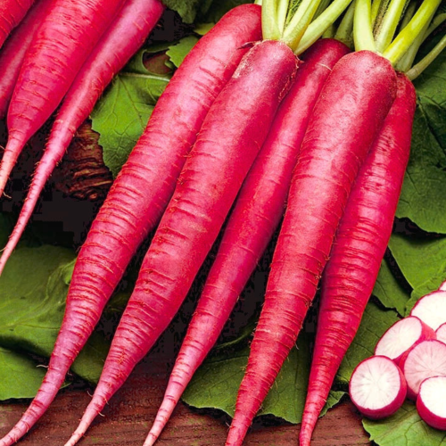 na cały sezon (14).png