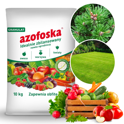 Projekt bez nazwy - 2024-01-13T101742.987.png