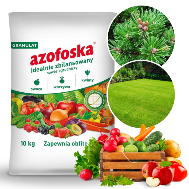 Projekt bez nazwy - 2024-01-13T101742.987.png