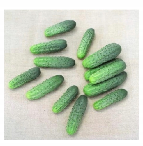 35228284f542974da104fd242c50570f