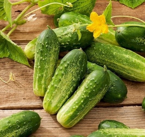 7be7820f84226d655545131f1254a2af