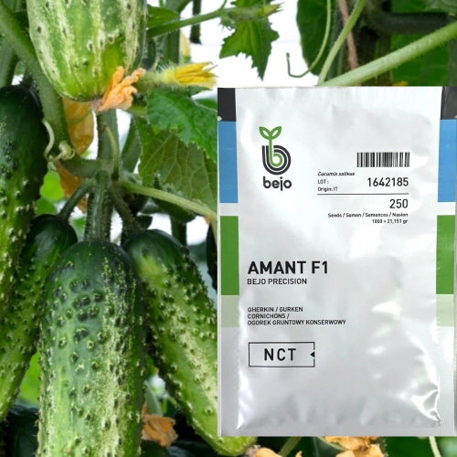 b7dbfcd6a7baf0b894c86c75e12262db