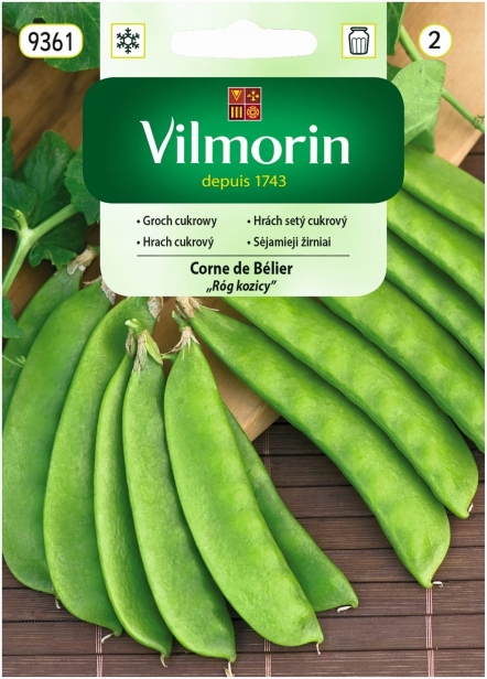 e5fcacf0d88140205efa91a869384961