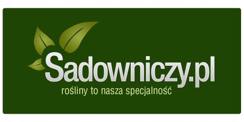 24fd48de4f9a74519e9de8fa9e16a0a8.jpg