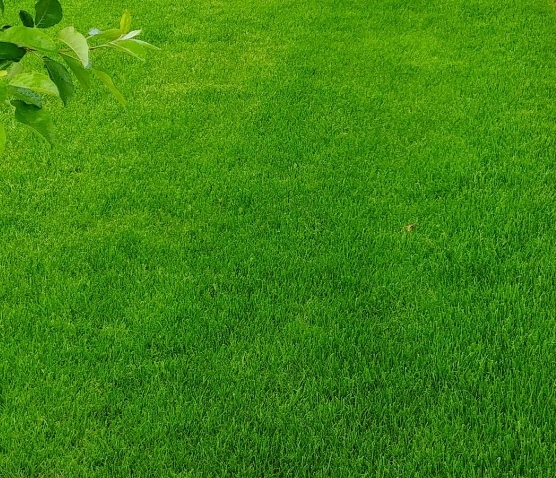 2ca922dcbbe89a4ac1aaa937b5c75c7a.jpg