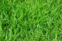ea7fbb5abd206d16e7ce2dd5ff66f7e7.jpg