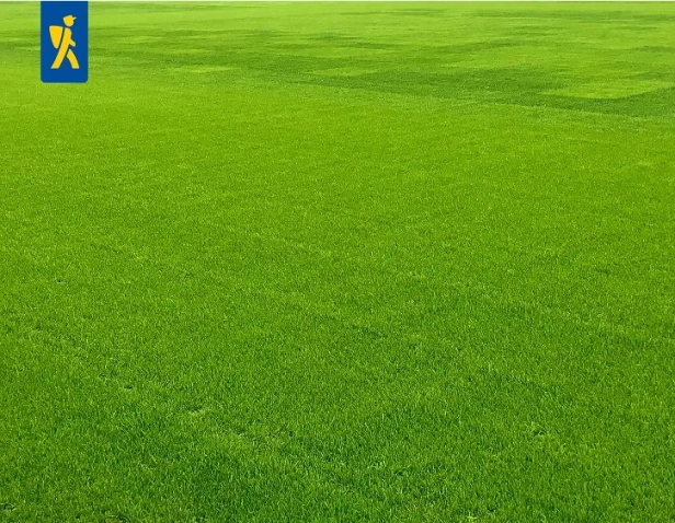 e1fb7eb2af1bce0e148f6088cc3ce21b.jpg