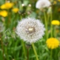 db3d14cb7461bef1405c7ac80daf7ce9.jpg