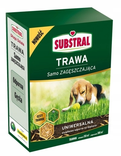 84a2366b4169a216b563762c7e60