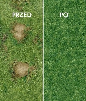 a35eb51845af82d817770da8f3fe