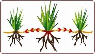 94e835d84f09bb743a2582a68e49